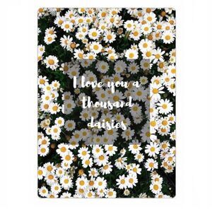 Gilmore Girls “I Love You a Thousand Daisies”